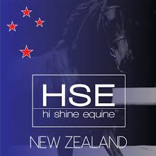 Hi Shine Equine