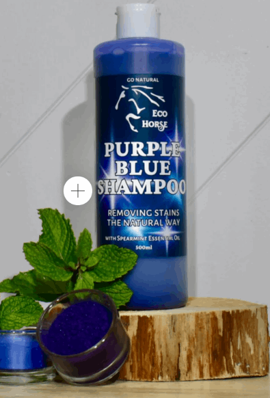 Eco Horse Purple Blue Shampoo