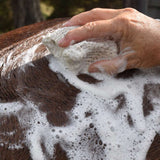 Eco Horse Chunky Charcoal Soap Block