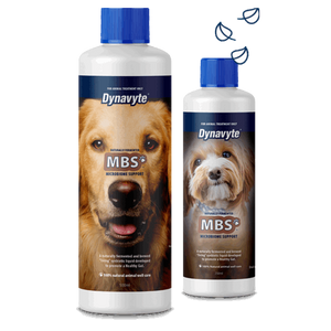 Dynavyte Microbiome Support for Dogs