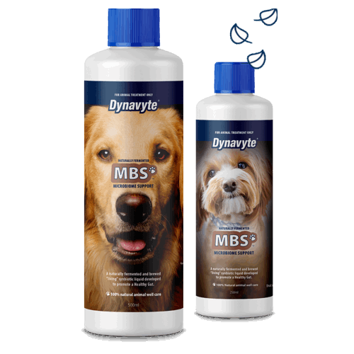 Dynavyte Microbiome Support for Dogs