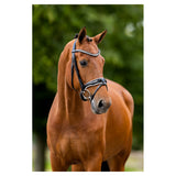 BR Ipswitch Bridle