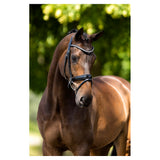 BR Ipswitch Bridle