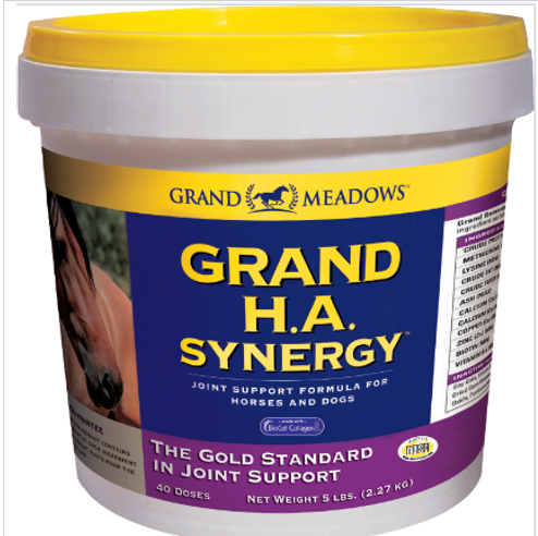 Grand Meadows Grand H.A. Synergy