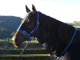 Roulette Rugs SoftShell Hood