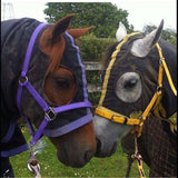 Roulette Rugs SoftShell Hood
