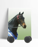 Performance Pony Ear plugs