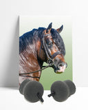Performance Heritage Horse Ear Plug