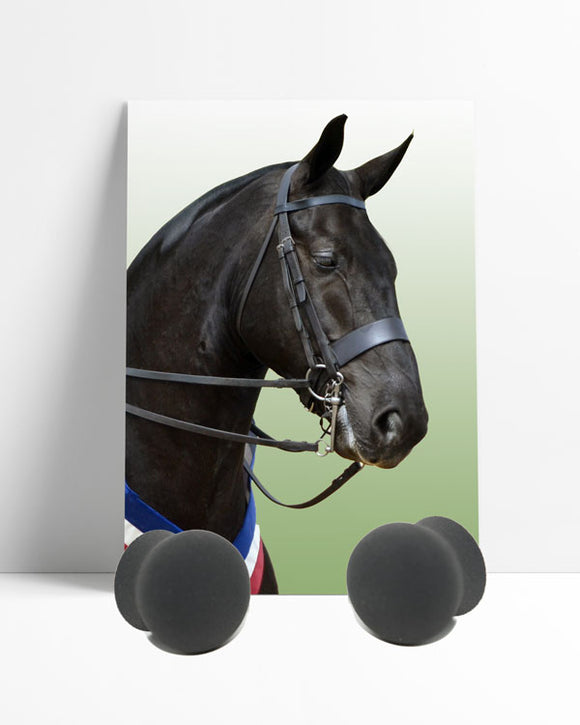 Performance Horse ear plugs