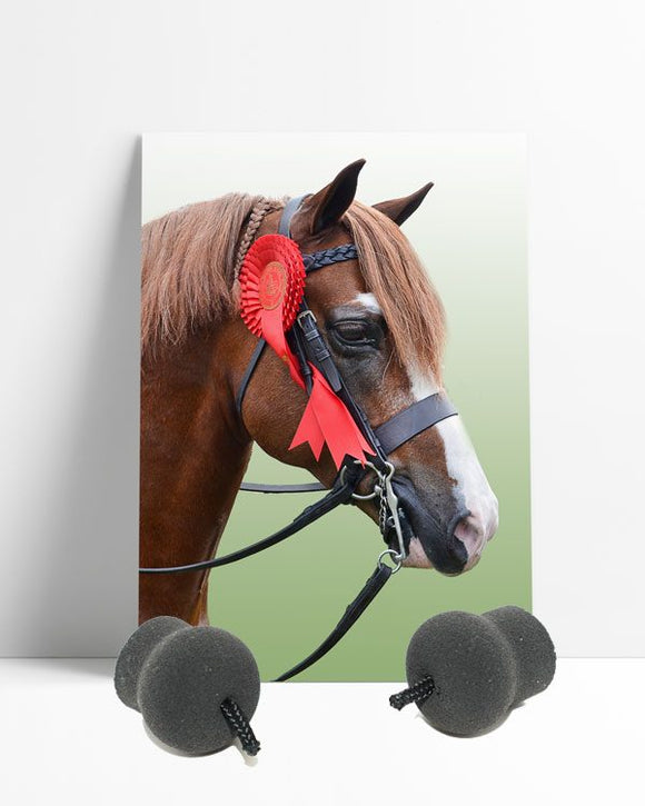 Performance Heritage Pony Ear plugs