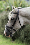 Eventor Crown Snaffle Bridle