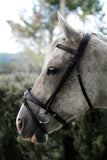 Eventor Crown Snaffle Bridle