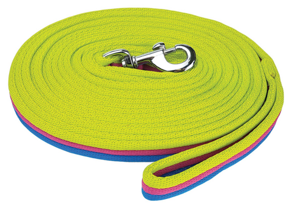 Zilco Brite Lunge Lead