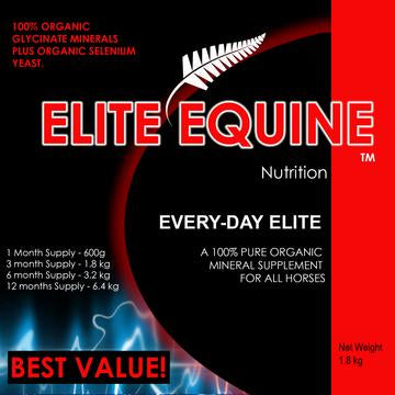 Elite Equine Everyday Elite