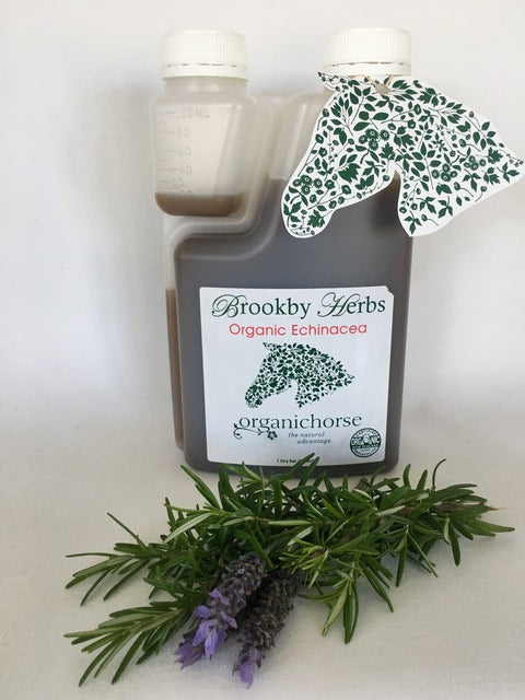 Brookby Herbs Echinacea Organic Plus